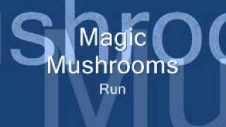 Magic Mushrooms - Run (LIVE)