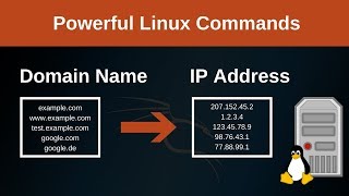 Domain name to IP address with Linux