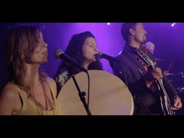 Tiger City Jukes – Man Over Board