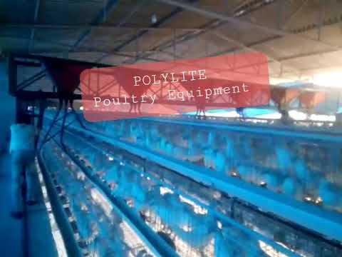 A Type Poultry Layer Cages