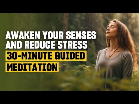 30-Minute Walking Meditation to Reduce Anxiety & Clarity | by Elif Hürdoğan & Phil Geelhoed