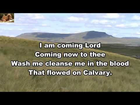 I Hear Thy Welcome Voice