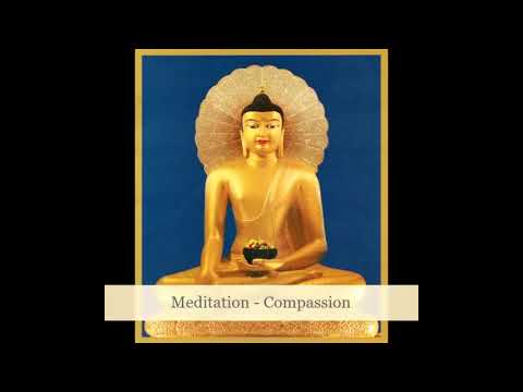 Meditation on Compassion