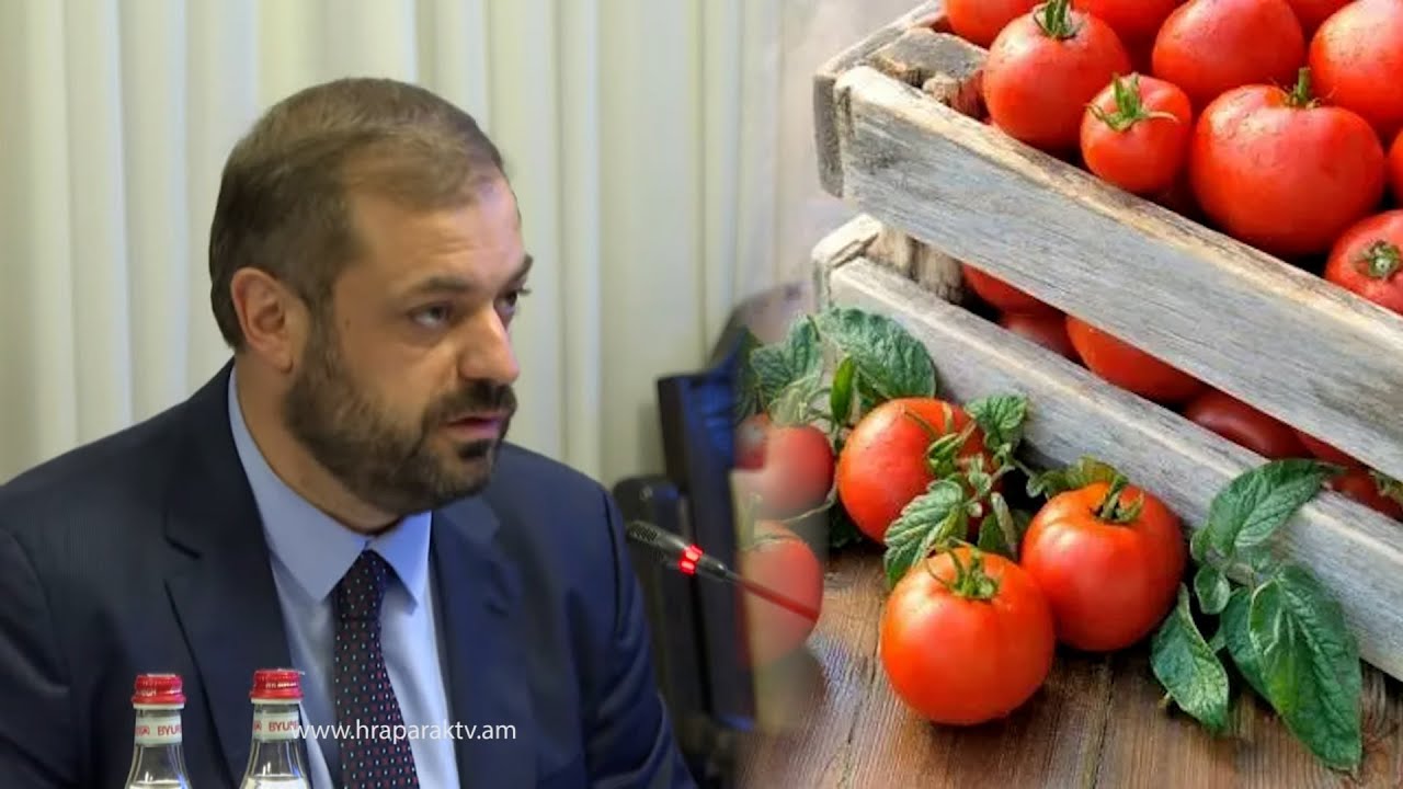 Ավելի քան 2000 տոննա լոլիկ մթերողներին 1 կգ-ի դիմաց 10 դրամ սուբսիդիա կտրամադրվի․ Պապոյան