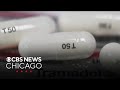 New Study Questions Benefit Of Tramadol