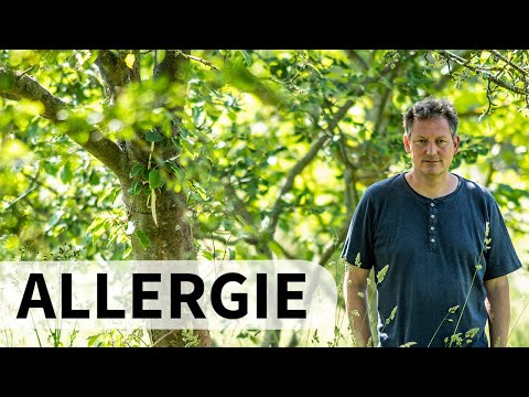 Warum nehmen Allergien zu? Eckart von Hirschhausen trifft Professorin Claudia Traidl-Hoffmann