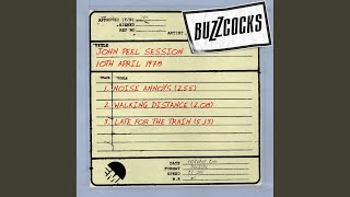 Walking Distance (John Peel Show 10th Apr 1978)