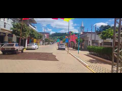 Maravilha da terra plantas no carnaval de dona Eusébia minas gerais 2026