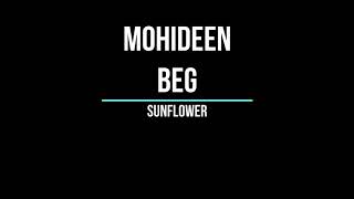 SUNFLOWER WITH MOHIDIN BEG