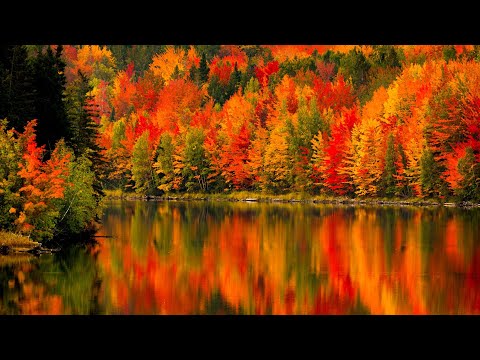 Autumn in the White Mountains of New Hampshire, Beautiful Peaceful Music, Relaxing, by Tim Janis