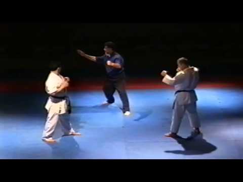 Fastest knockout in kyokushin Sveto Dekovic vs Iran