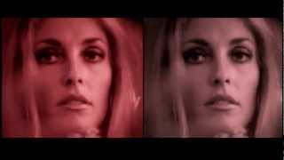 Spell (ft Rose McDowall) - Free Now To Roam