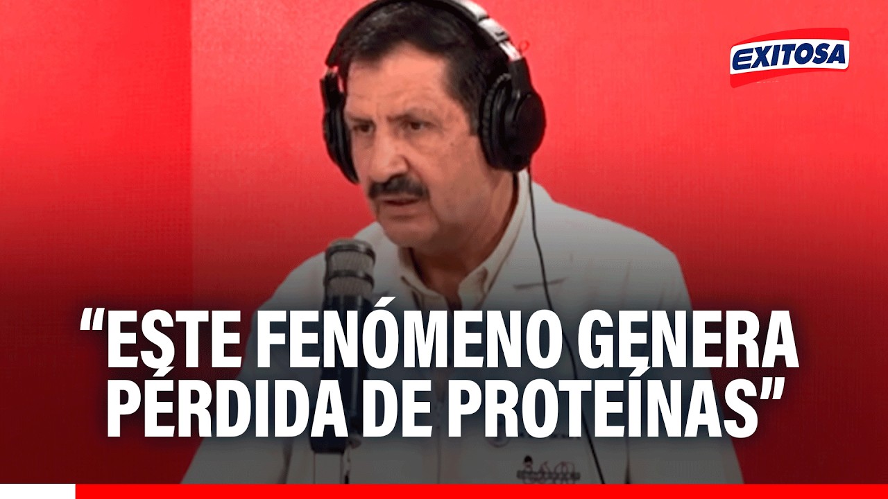 🔴🔵 Personas con un solo riñón pueden padecer de hiperfiltración, indica nefrólogo del INSN
