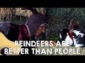 Reindeers Are Better Than People Frozen Cover ...