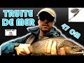 SEA TROUT FISHING : 47 cm with spinner = cool !!!!!