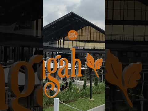 Temukan cafe hits di Subang yang wajib kamu kunjungi! Suasana cozy dan menu yang bikin nagih! ☕✨