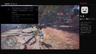 【MHW】極ダオラ募集