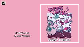 The Bastard Son of Dean Friedman by Half Man Half Biscuit