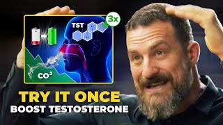Neuroscientist: Increase Testosterone PERMANENTLY in Minutes | Andrew Huberman