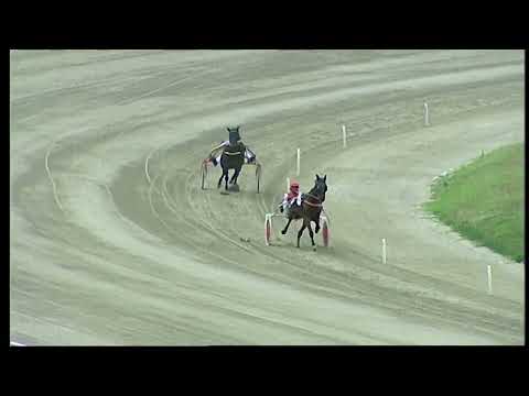 Napoli Trotto 27/05/2022 - 2ª prova di qualifica