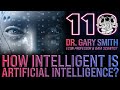 How Intelligent is Artificial Intelligence? | Gary Smith Podcast