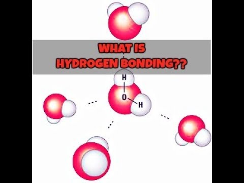 What is hydrogen bonding?? # Be Pharmawise