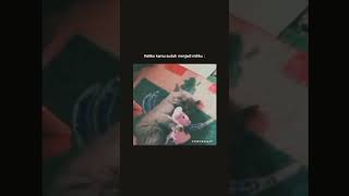 Download lagu ketika sudah menjadi milikku #storywa #storyig #wa #snap mp3