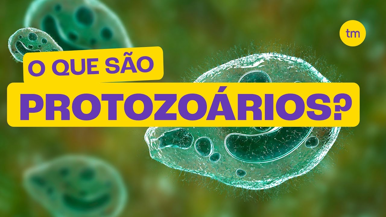 O que são PROTOZOÁRIOS