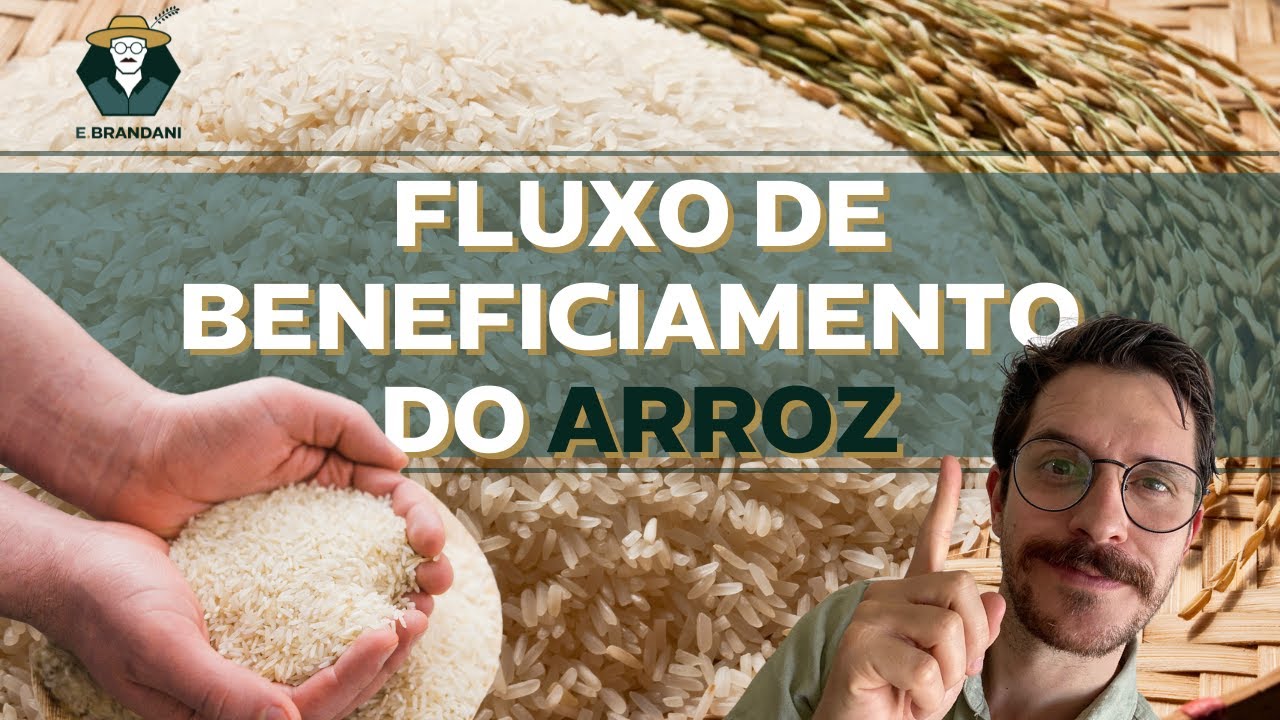 O caminho do Arroz até o nosso prato | POR DENTRO DA INDÚSTRIA!