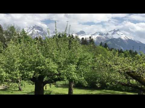 スイスの寄宿学校の庭には、果物の木がたくさん。おやつの時間です。【スイス留学.com】