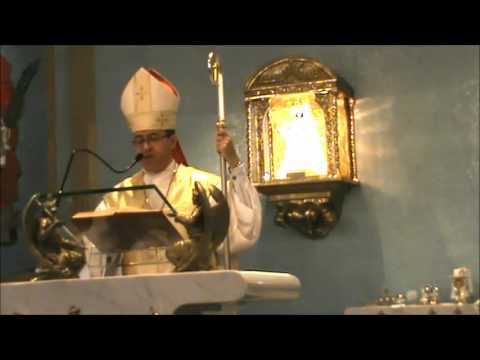 Homilia-Dom José Francisco Falcão-Solenidade da Imaculada Conceição-08/12/ 2013-PASMASE-Brasilia/DF