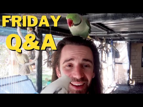 Fates Warning? Musicals? John Butler? Q&A 144