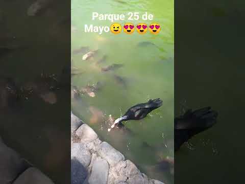 PARQUE 25 DE MAYO/SAN JUAN/ARGENTINA 🤗💯💓💓💓