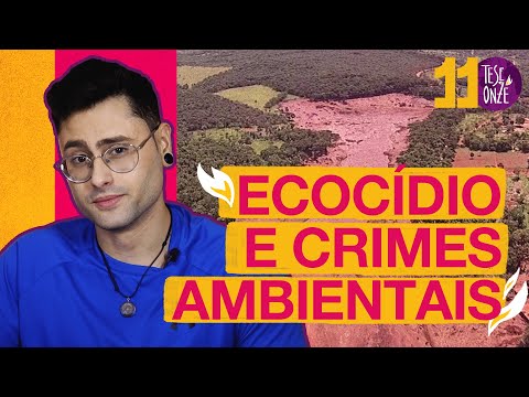 Ecocídio e Crimes Ambientais I 119