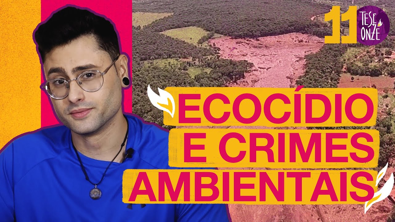Ecocídio e Crimes Ambientais I 119