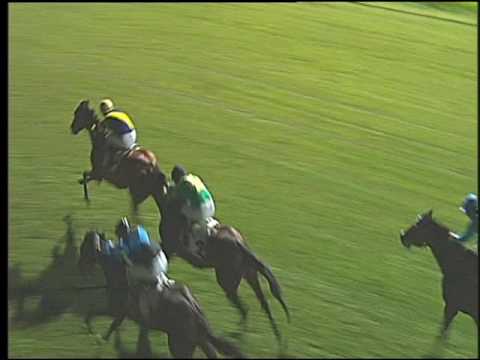 Galoppo 06/08/2016 - 3° corsa