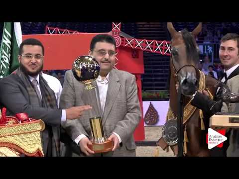 Highlights WAHC 2015