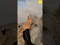 Nyata Lafadz Allah Di Langit Mekah ️ Shortsviral
