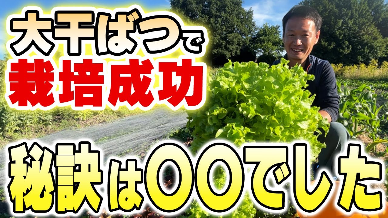 異常気象に勝つ自然栽培と自家採種