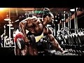 Bodybuilding Motivation WARRIOR