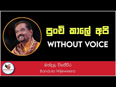 Punchi Kale Api Sindu Kiyapu Hati Karaoke | Without Voice | Ashen Music Pro