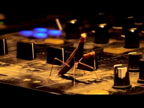 GOA GIL PORTUGAL 2013 - The Ritual - Crystal Matrix