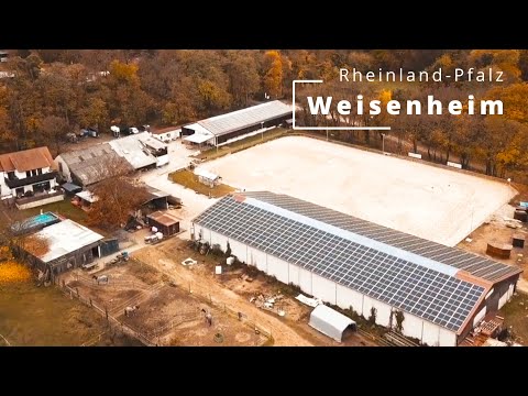 Photovoltaik Investment kaufen in Weisenheim | Solar Direktinvest