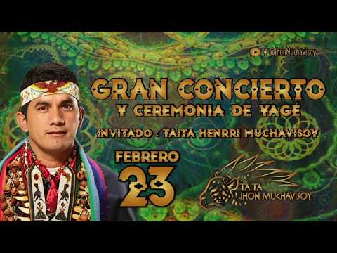 Estoy perdido, Taita Jhon Muchavisoy canción medicina #ayahuasca