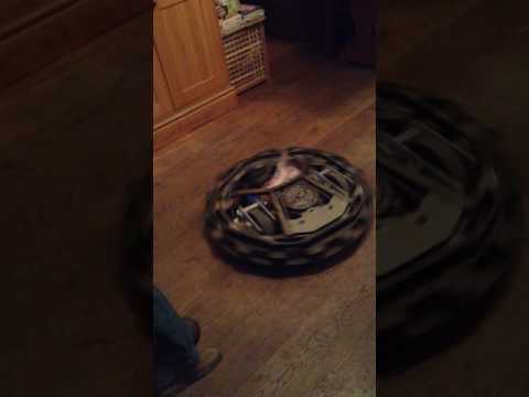 M.R. Speed Squared - Robot Wars 2017 update video 1.0