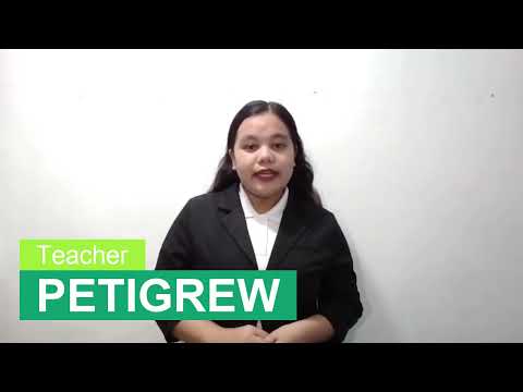 Petigrewのプロフィール動画