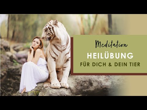 Kleine Heilübung für dich und DEIN TIER - Geführte Meditation | 13 Minuten | Tierkommunikation