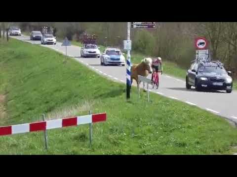 Horse runs alongside Rider at ZLM Tour
