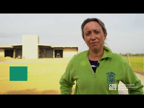 Rich Rice. Programa Llamp 3I[;;;][;;;]