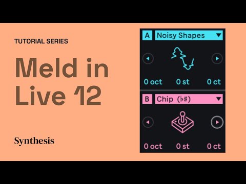 Ableton Live 12 : Everything you need to know about Meld
